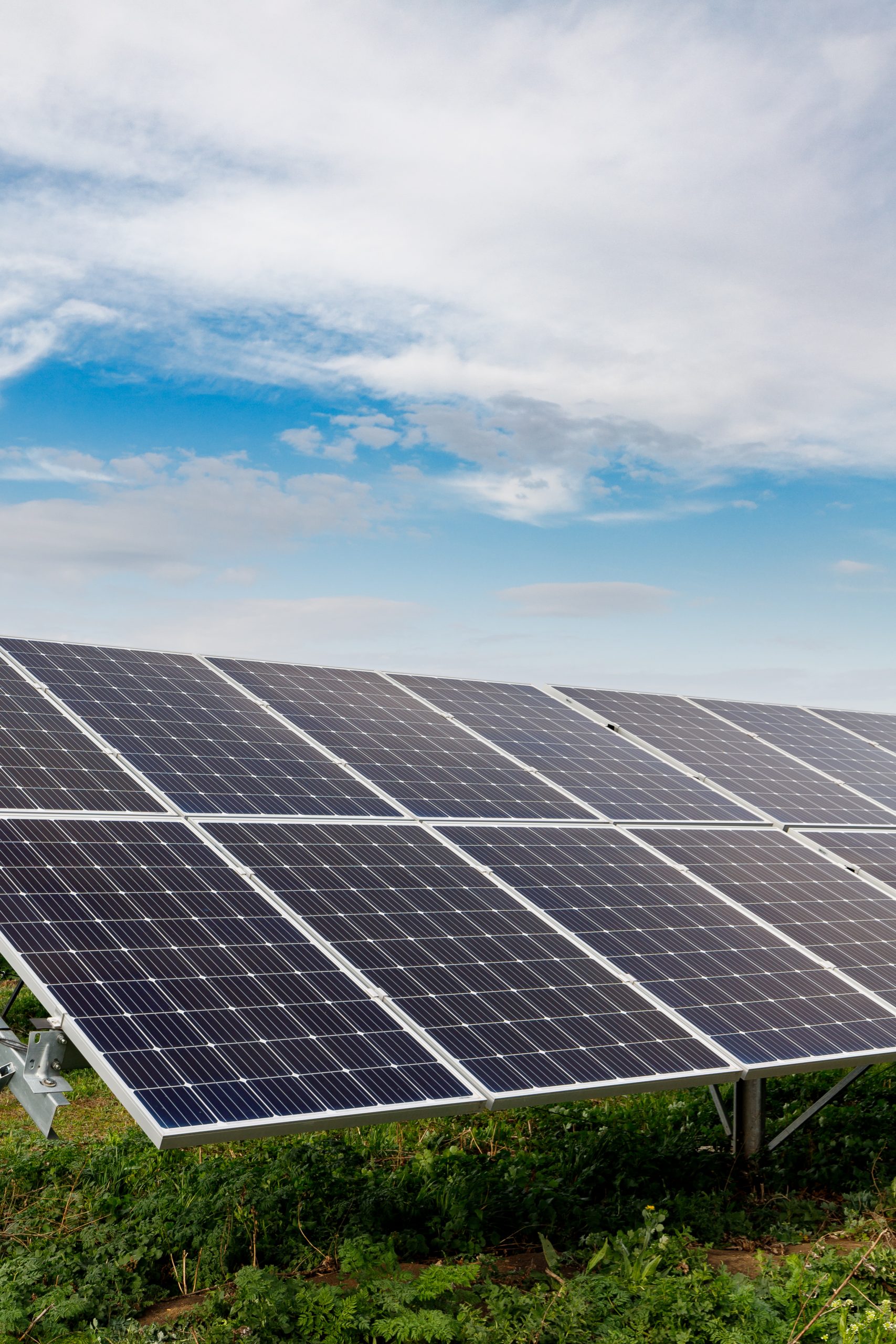 Clean Energy - Panex WD International - 泛鼎国际